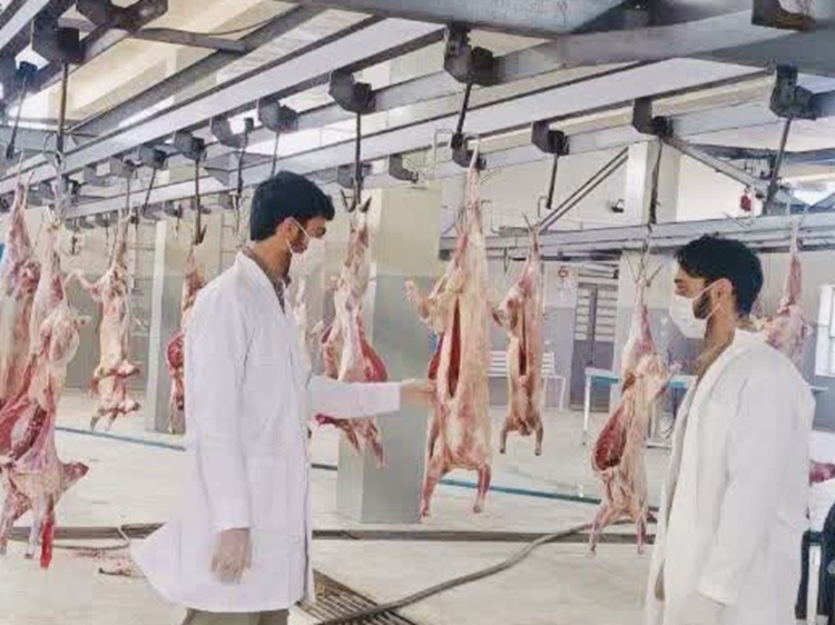 سلامت دام‌های قربانی در تاسوعا و عاشورای حسینی زیر ذره‌بین دامپزشکی جنوب کرمان